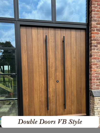 contemporary double front doors